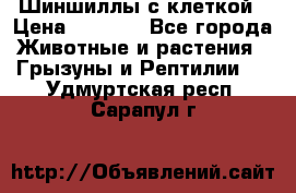 Шиншиллы с клеткой › Цена ­ 8 000 - Все города Животные и растения » Грызуны и Рептилии   . Удмуртская респ.,Сарапул г.